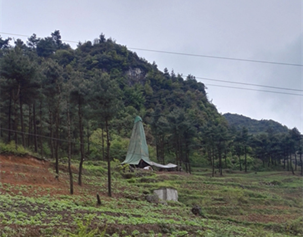 把脈“黔”鋅地，問診開良方